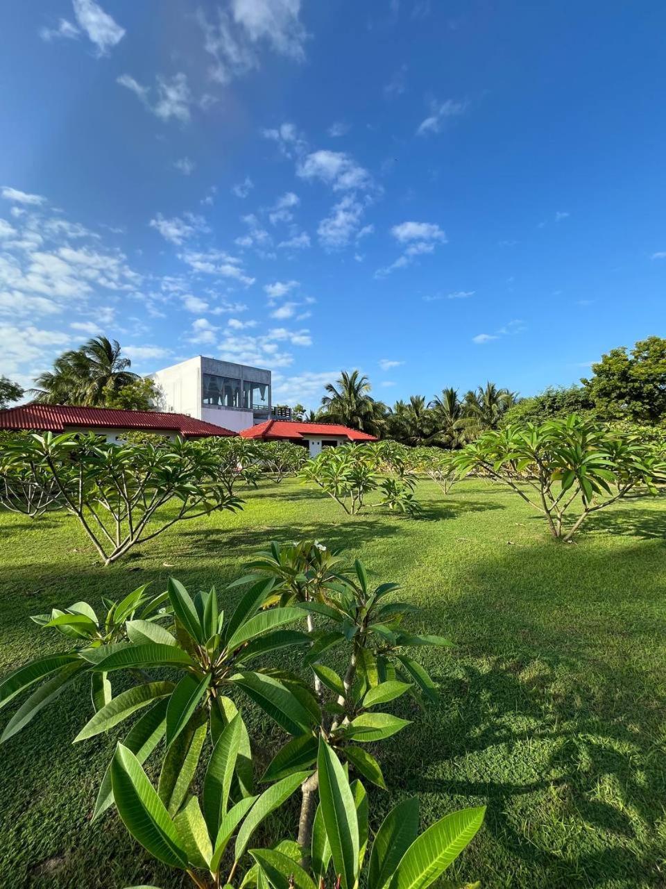 Nn Beach Resort & Spa Nilaveli Εξωτερικό φωτογραφία